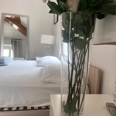 Otel Druso *
